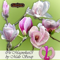 Magnolias01 (FS/CU)
