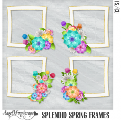 Splendid Spring Frames (FS/CU)