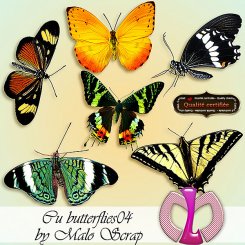 Butterflies04 (FS/CU)
