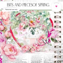 Bits and pieces of spring