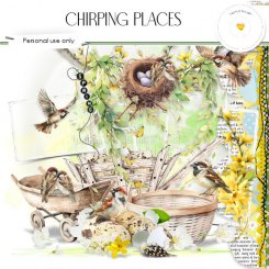 Chirping places