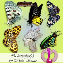 Butterflies03 (FS/CU)