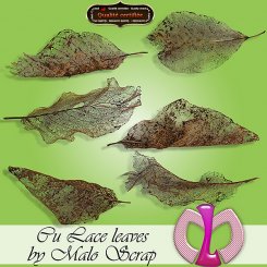 Lace leaves (TS/CU)