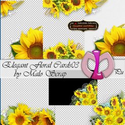 Elegant Floral Cards03 (FS/PU)