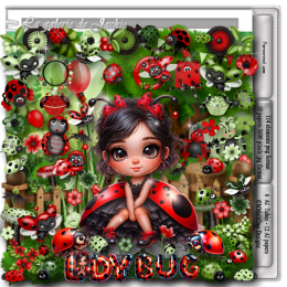 GJ-Kit Little Ladybug FS