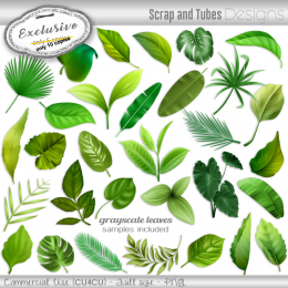 EXCLUSIVE ~ Grayscale Leaves Clipart