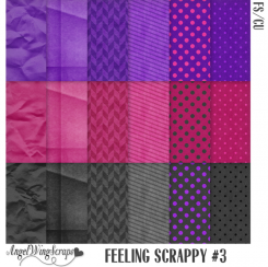 Feeling Scrappy #3 (FS/CU)