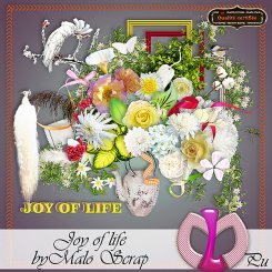 Joy of life Kit (FS/PU)