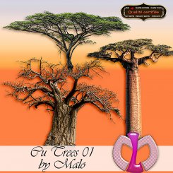 Trees01 (FS/CU)