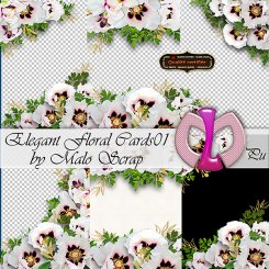 Elegant Floral Cards01 (FS/PU)