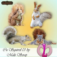 Squirrel01 (TS/CU)