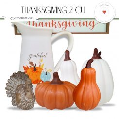 Thanksgiving 2 CU